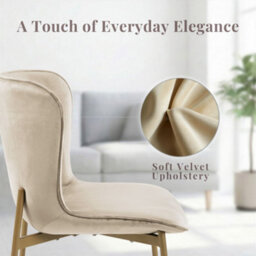 Evre Beige Velvet Dining Chairs Set Of 2 With Bronze Metal Frame For Kitchen, Living Room & Bedroom - thumbnail 5