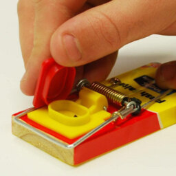 The Big Cheese Fresh Baited Mouse Trap Stv Rodent Trap Reusable Indoor & Outdoor Mouse Trap Powerful Spring - thumbnail 5