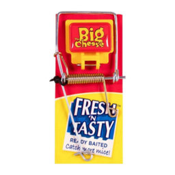 The Big Cheese Fresh Baited Mouse Trap Stv Rodent Trap Reusable Indoor & Outdoor Mouse Trap Powerful Spring - thumbnail 1