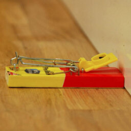 The Big Cheese Fresh Baited Mouse Trap Stv Rodent Trap Reusable Indoor & Outdoor Mouse Trap Powerful Spring - thumbnail 2