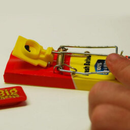 The Big Cheese Fresh Baited Mouse Trap Stv Rodent Trap Reusable Indoor & Outdoor Mouse Trap Powerful Spring - thumbnail 3