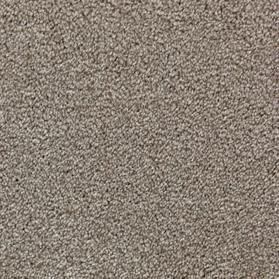 Bliss Luxury Deep Pile Bleach Cleanable Carpet By Remland (French Beige, 3M X 4M)