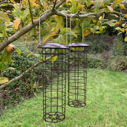 Selections Hanging Suet Fat Ball Bird Feeder For Bird Feeding Stations (Set Of 2) - thumbnail 1
