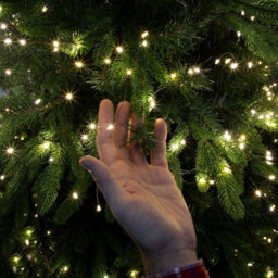 The Christmas Workshop 71749 480 Warm White Micro Led Cluster String Lights With Green Wire Casing - thumbnail 8