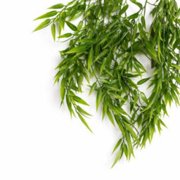 Leaf 80Cm Artificial Trailing Bamboo Plant Hanging Faux Greenery - thumbnail 4
