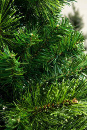 Christmas Tree World The 4Ft/120Cm Majestic Dew Pine Potted Tree (Outdoor) - thumbnail 8