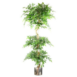 Leaf Artificial Ficus Triple Ball Tree 6Ft Silver Metal Planter - thumbnail 1