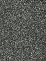 Devotion Silver Bleach Cleanable Carpet By Remland (Granite, 3M X 5M)