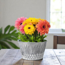 Set Of 2 Zinc Honeycomb Plant Bowls - Watertight No Drainage Holes - thumbnail 4