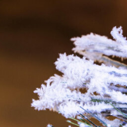 Christmas Tree World The 6Ft/180Cm Snowy Led Frosted Pine Fibre Optic Tree - thumbnail 6