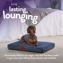 Anti-Anxiety Blue Pet Bed For Dogs - Slumberdown Orthopaedic & Washable, Small - thumbnail 3