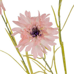 Hill Interiors Cornflower Stem Artificial Flower - Plastic - L20 X W20 X H77 Cm - Pink - thumbnail 3