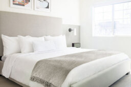 Camilla Collection Chenille Throw In Dove Grey - thumbnail 2