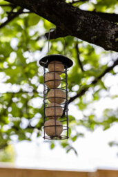 Marco Paul Wild Bird Fat Ball Feeders - Metal Mounted Station Bird Feeder Hanging - thumbnail 8