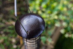 Marco Paul Wild Bird Fat Ball Feeders - Metal Mounted Station Bird Feeder Hanging - thumbnail 4