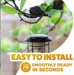 Marco Paul Wild Bird Fat Ball Feeders - Metal Mounted Station Bird Feeder Hanging - thumbnail 5