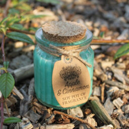 Serenityy Apple & Cinnamon Soy Pot Of Fragrance Candle In Reusable Blue Glass Jar With Cork Lid, 120 G, Approx. 20-Hour Burn - thumbnail 4