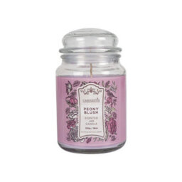 18Oz Scented Jar Candle Peony Blush 510G