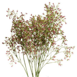 Wyld Haus Set Of 3 Purple Artificial Wildflower Sprays (Gypsophilia), 720 mm Indoor Faux Flowers For Rustic Decor - thumbnail 2