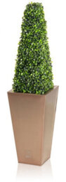Primrose Artificial Topiary Tree The Buxus Obelisk 90Cm - thumbnail 2