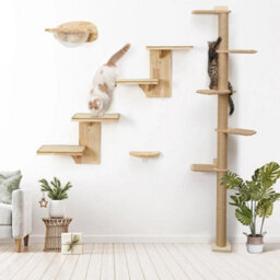 Cat Wall Shelves ,2 Platform Cats Wall Shelf, Tree Shape Wall-Mount - thumbnail 5