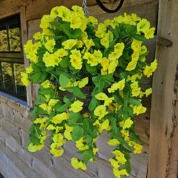 Best Artificial 75Cm Yellow Morning Glory Trailing Flowers With Rattan Wicker Hanging Baskets For Indoor Or Garden Use