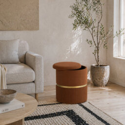 Wyld Haus Rapa Etched Velvet Light Brown Storage Ottoman With Gold Detail, 36 X 36 X 44 Cm