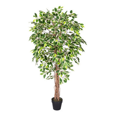 Homescapes Artificial Green Handcrafted Variegated Ficus Tree Plant With Twisted Trunk, 6 Ft - image 1