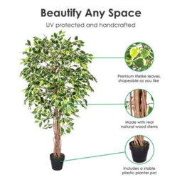 Homescapes Artificial Green Handcrafted Variegated Ficus Tree Plant With Twisted Trunk, 6 Ft - thumbnail 2