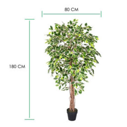 Homescapes Artificial Green Handcrafted Variegated Ficus Tree Plant With Twisted Trunk, 6 Ft - thumbnail 4