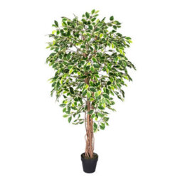 Homescapes Artificial Green Handcrafted Variegated Ficus Tree Plant With Twisted Trunk, 6 Ft