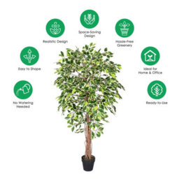 Homescapes Artificial Green Handcrafted Variegated Ficus Tree Plant With Twisted Trunk, 6 Ft - thumbnail 5