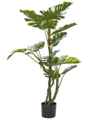 Wyld And Coco 135 Cm Artificial Monstera Potted Plant, Green, Matt Cement Pot - Indoor Decorative Plant - thumbnail 1