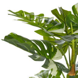Wyld And Coco 135 Cm Artificial Monstera Potted Plant, Green, Matt Cement Pot - Indoor Decorative Plant - thumbnail 3