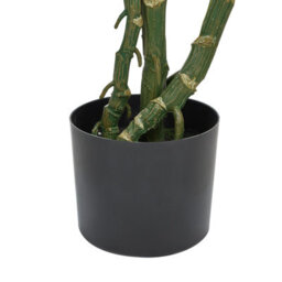 Wyld And Coco 135 Cm Artificial Monstera Potted Plant, Green, Matt Cement Pot - Indoor Decorative Plant - thumbnail 5