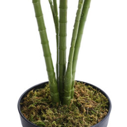 Darphe Artificial Plant Home Indoor And Outdoor Decoration Palm Tree Potted Plant Height 150Cm - thumbnail 7