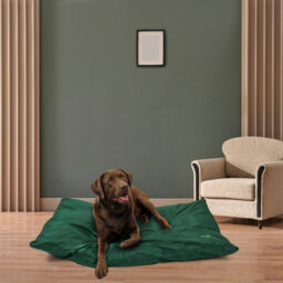 Actiaspet Xl Waterproof Pet Cushion Bed Green - thumbnail 6