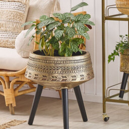 Beliani Grey Concrete-Style Plant Stand 30 X 30 Cm With Solid Beechwood Base Modern Industrial - thumbnail 2