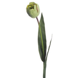Hill Interiors Uk Homeliving Artificial Green Tulip - thumbnail 3