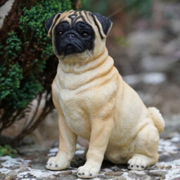 Burgess Blonde Pug Resin Dog Statue Home Garden Outdoor Sitting Puppy Ornament Sculpture British Pet Gift - thumbnail 1