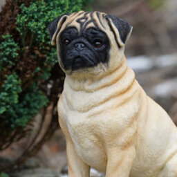 Burgess Blonde Pug Resin Dog Statue Home Garden Outdoor Sitting Puppy Ornament Sculpture British Pet Gift - thumbnail 2