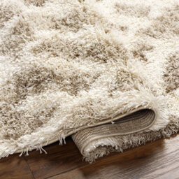 Livabliss Urban Shaggy-Modern Beige Brown Ivory Cream Soft Plush Pile Living Bedroom Rug 200 X 290 Cm Easy Care, Non Shedding - thumbnail 4