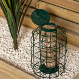 Samuel Alexander Pack Of 3 Wild Bird Fat Ball Feeder With Squirrel Guard - thumbnail 2