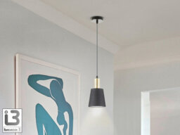 Luminosa Lighting Luminosa Gisela Dome Pendant Ceiling Light Black, Brass 1Xe27 - Uk Stock - thumbnail 1