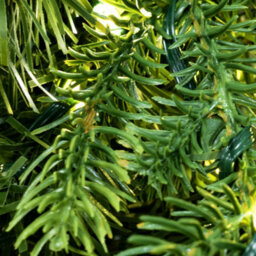 Christmas Tree World The Pre-Lit 50Cm Ultra-Lit Montagna Fir Wreath - thumbnail 3