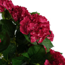 Leaf 75Cm Artificial Pink Bush Hydrangea Plant Potted - thumbnail 2