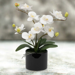 Crystals Artificial Plant Fake Silk Orchid Flower Potted Home Party Garden Decor - thumbnail 6