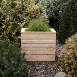 Shire Pia Larch Timber Deep Trough L 80 X W 40 X H 80 Cm - thumbnail 2