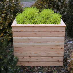 Shire Pia Larch Timber Deep Trough L 80 X W 40 X H 80 Cm - thumbnail 5