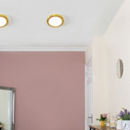 Litecraft Darly Satin Brass 1 Lamp Modern Bathroom 12W Led Flush Ceiling Light